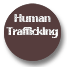 Human Trafficking / Sex Trafficking in the US